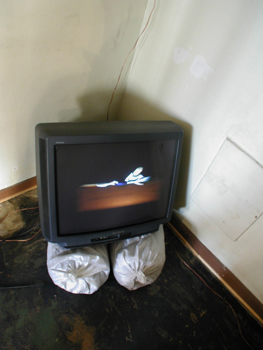 thea_djordjadze_salome machaidze_03