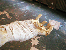 Ich seh nur das leben keinen Tod / Alex Jasch & Jens Ullrich