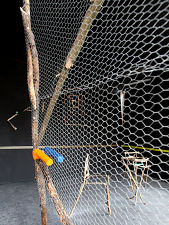 Gabriel Vormstein / „(there is) no death“