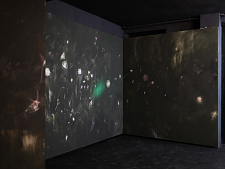 Jan Meier / Zizonia (Eingeladen von Gerda Scheepers)