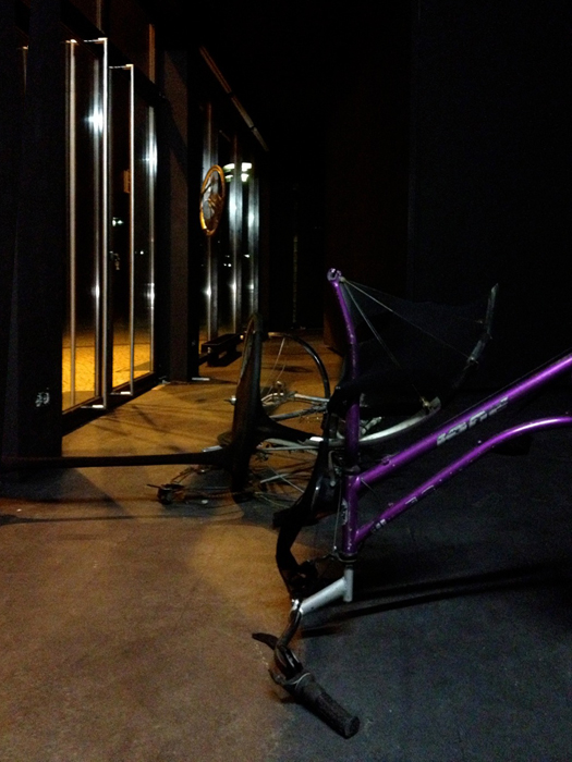 juliane_solmsdorf_06