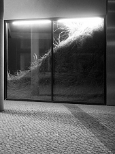 sebastian_hammwoehner_02a