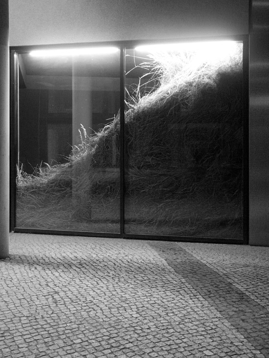 sebastian_hammwoehner_02a