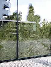 sebastian_hammwoehner_03