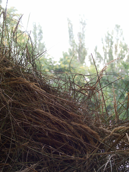 sebastian_hammwoehner_05