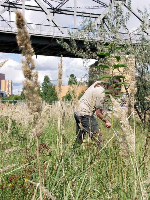 sebastian_hammwoehner_08