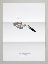 das_jahr_2004_florian_baudrexel_05