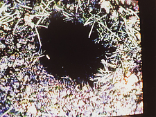 jan_wagner_alex_jasch_aderhold_04