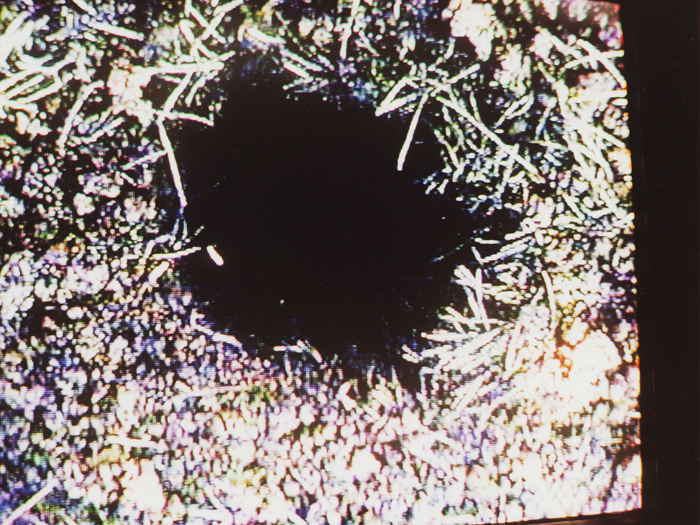 jan_wagner_alex_jasch_aderhold_04