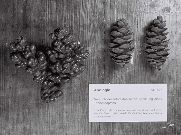 fotoachse_jens_ullrich_alex_jasch_02