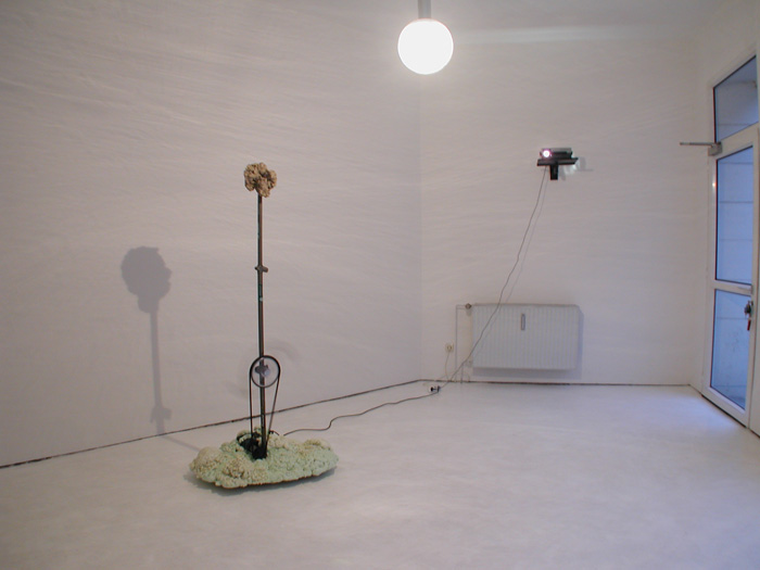 gaehn_nett_jasch_ullrich_01