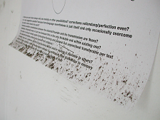 glueckliche_alex_jasch_jens_ullrich_02