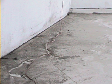 glueckliche_alex_jasch_jens_ullrich_06