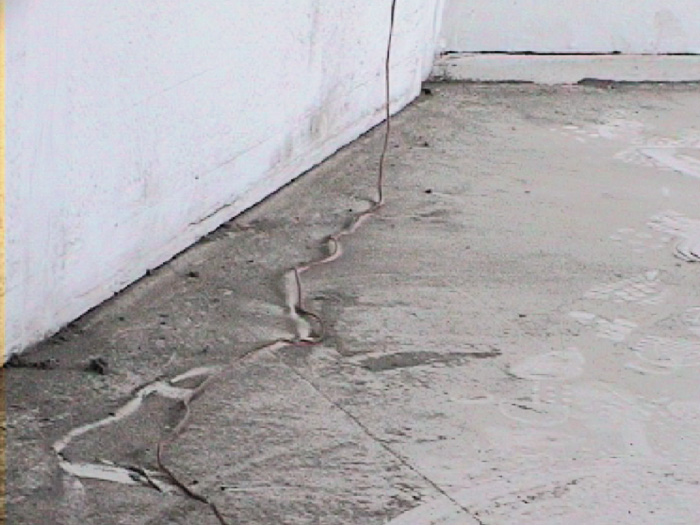 glueckliche_alex_jasch_jens_ullrich_06