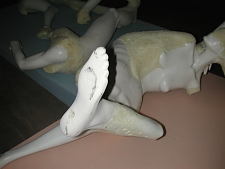 jeuness_florian_baudrexel_alex_jasch_03