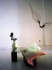 Olloquiegie / Jan Wagner