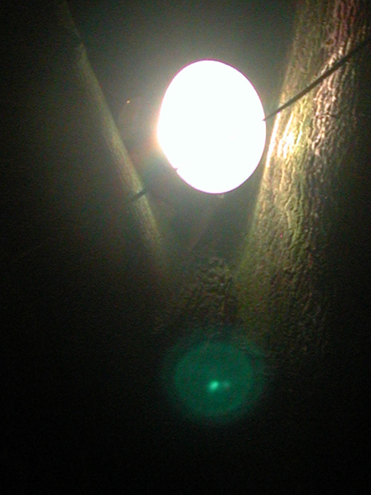 standarts_matthias_lahme_02