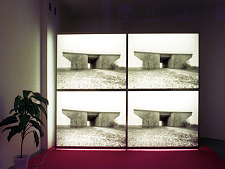 jens_ullrich_umsonst_01