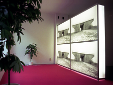 Umsonst / Jens Ullrich