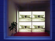 jens_ullrich_umsonst_05