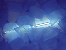 V.i.s.d.P. / Jens Ullrich